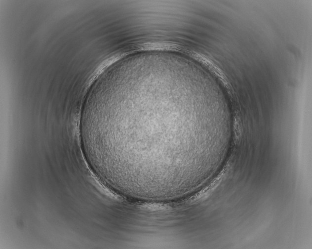 X0000111911033200908101156