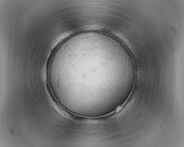 X0000111911034200908101156