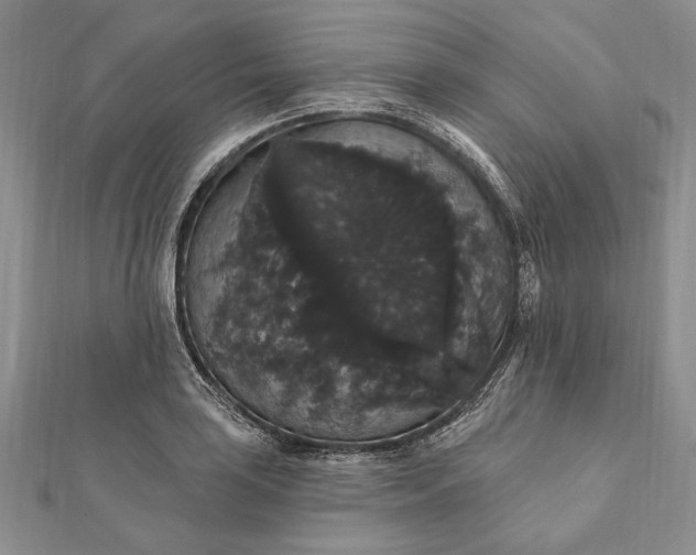 X0000111911035200908101156