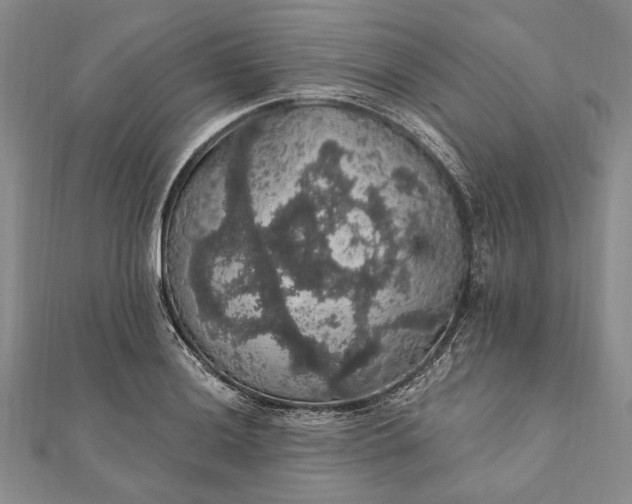 X0000111911036200908101156