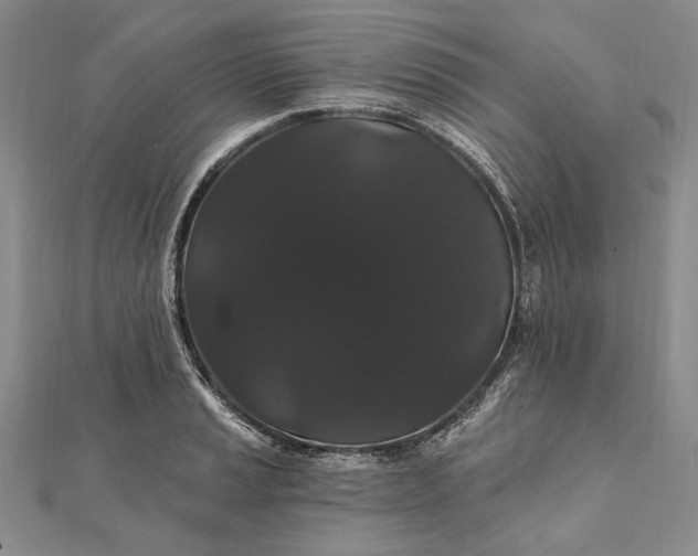 X0000111911037200908101156