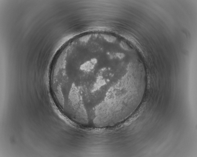 X0000111911038200908101156