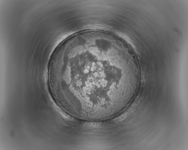 X0000111911040200908101156