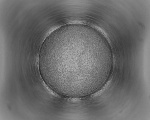 X0000111911041200908101156