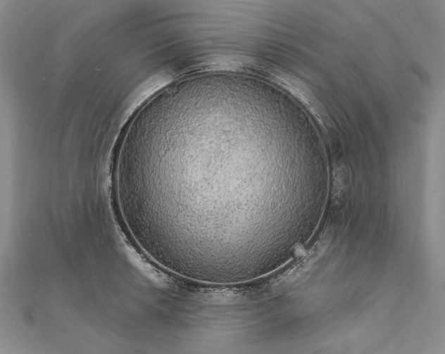 X0000111911042200908101156