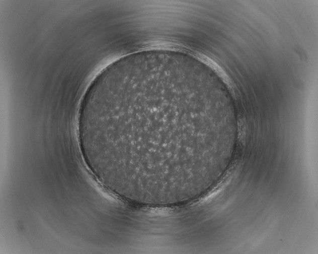 X0000111911043200908101156