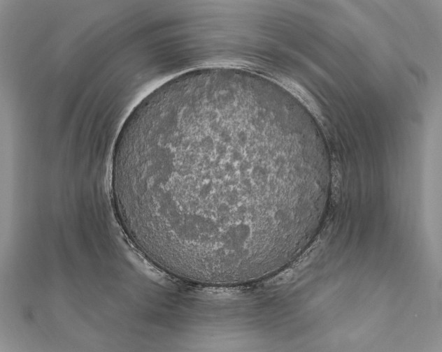 X0000111911044200908101156