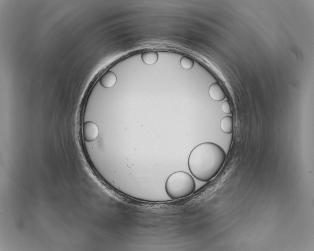 X0000111911045200908101156