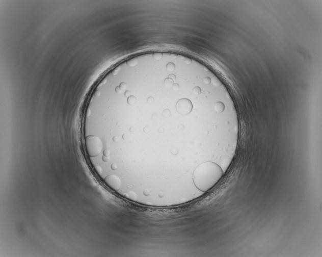 X0000111911046200908101156