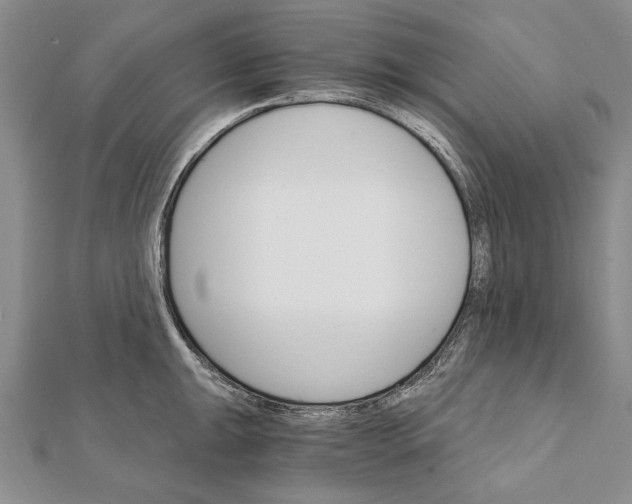 X0000111911047200908101156