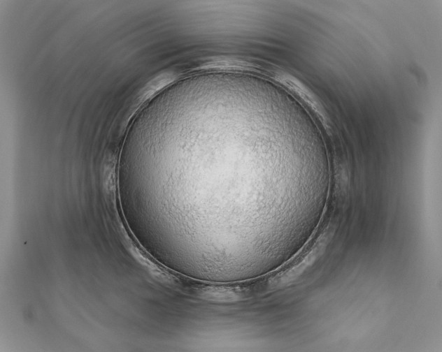 X0000111911049200908101157