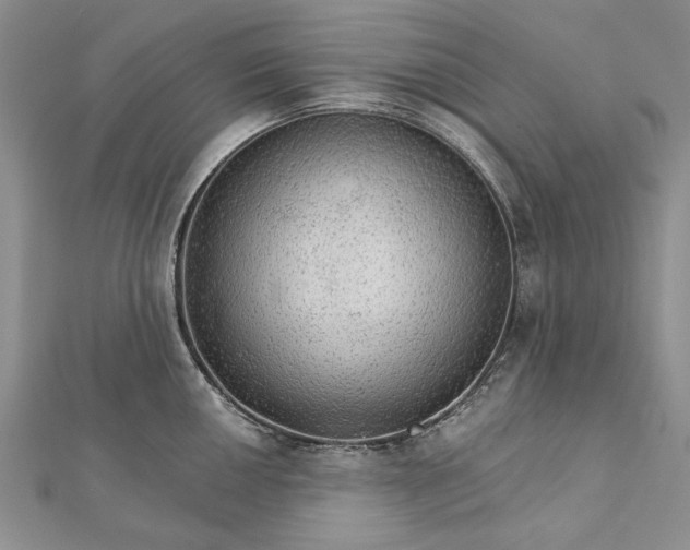 X0000111911050200908101157