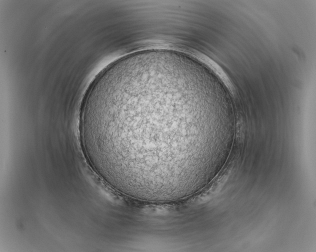 X0000111911051200908101157