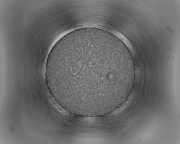 X0000111911052200908101157