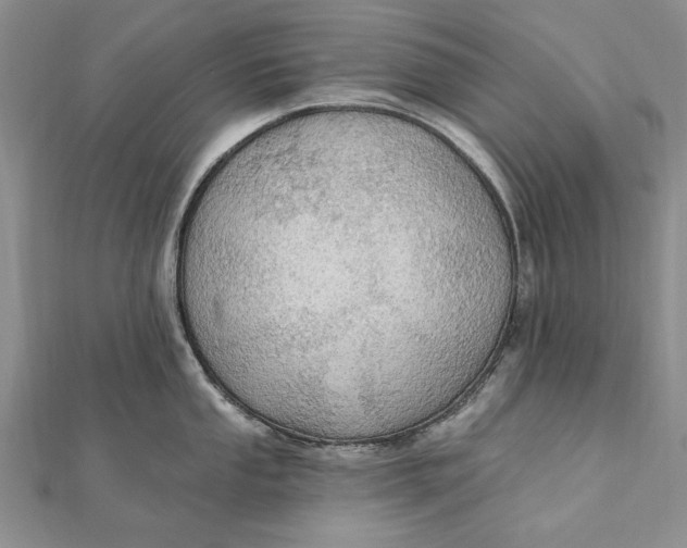 X0000111911053200908101157