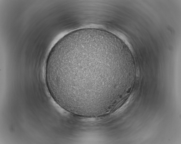 X0000111911054200908101157