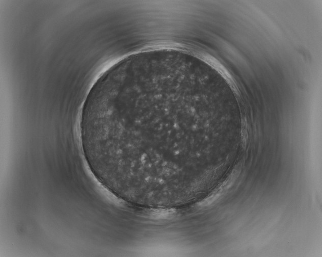 X0000111911055200908101157