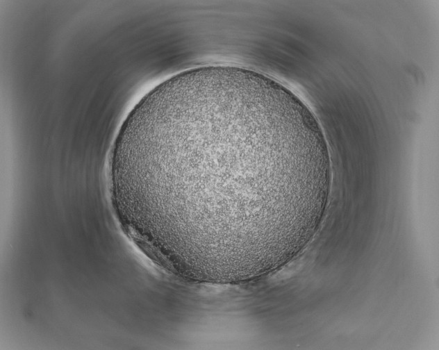 X0000111911056200908101157