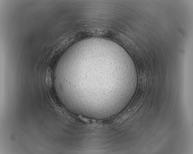 X0000111911058200908101156