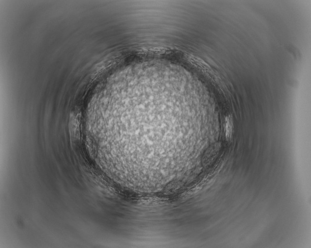 X0000111911059200908101156