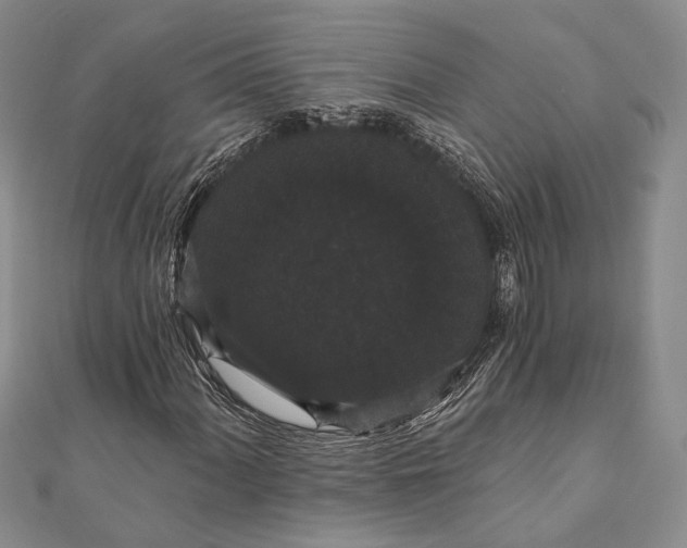 X0000111911060200908101156