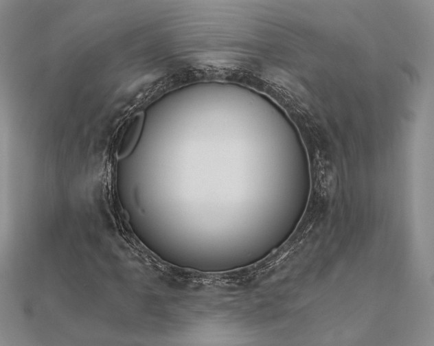 X0000111911061200908101156