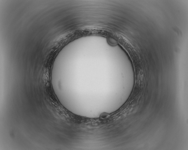 X0000111911062200908101156