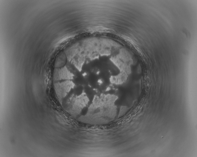 X0000111911063200908101156