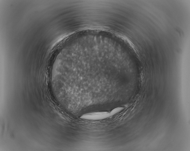 X0000111911064200908101156