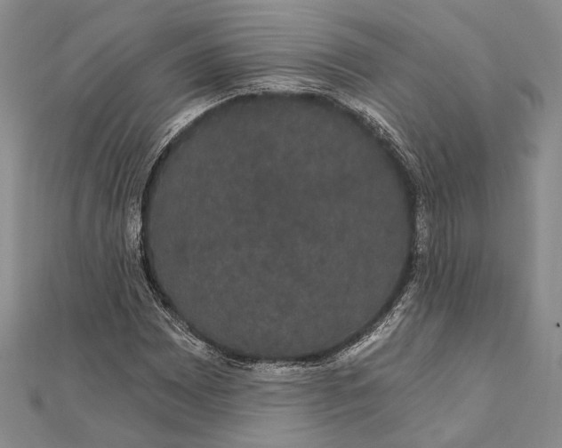 X0000111911065200908101156