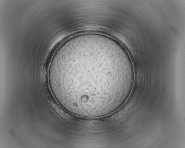 X0000111911067200908101156