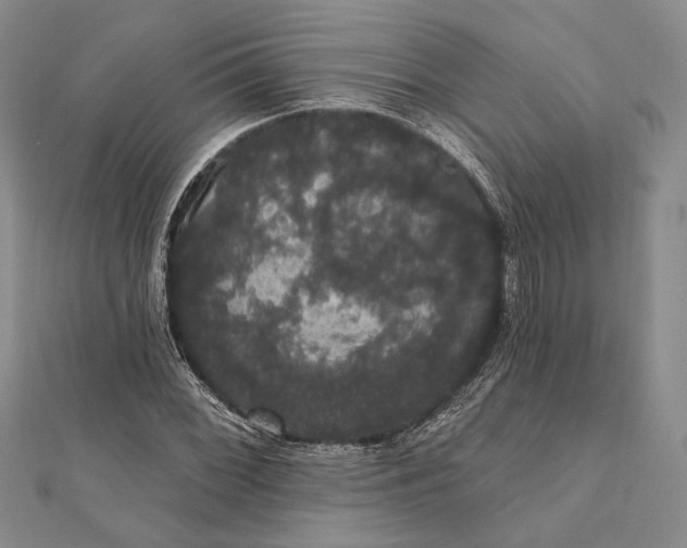 X0000111911068200908101156