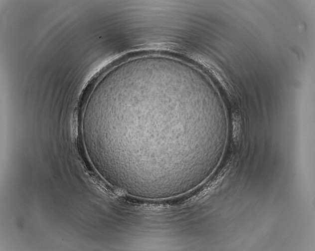 X0000111911069200908101156