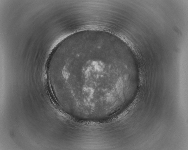 X0000111911070200908101156