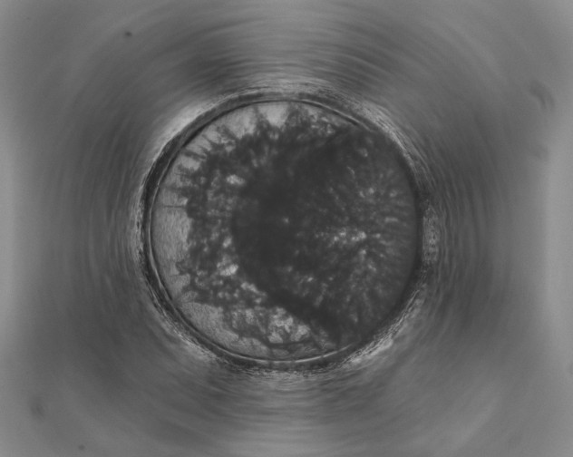 X0000111911071200908101156