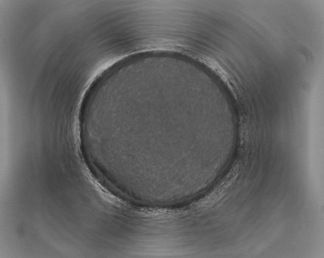 X0000111911072200908101156