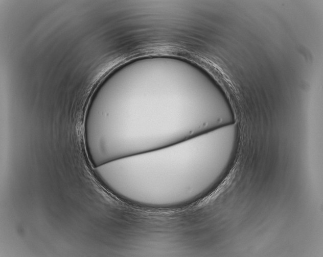 X0000111911073200908101156