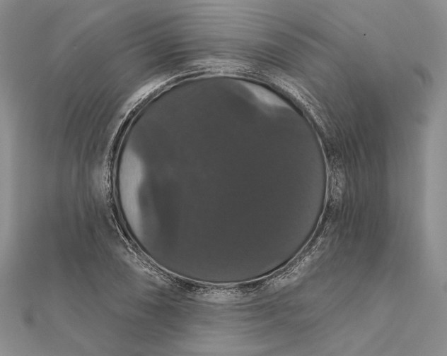 X0000111911074200908101156