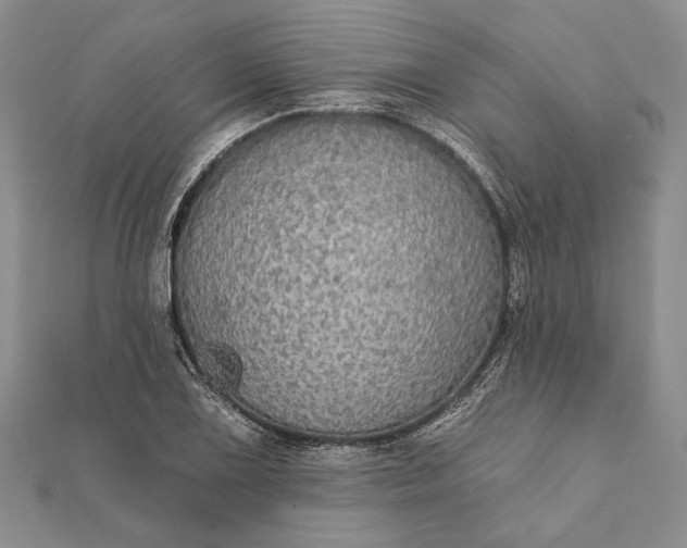 X0000111911075200908101156