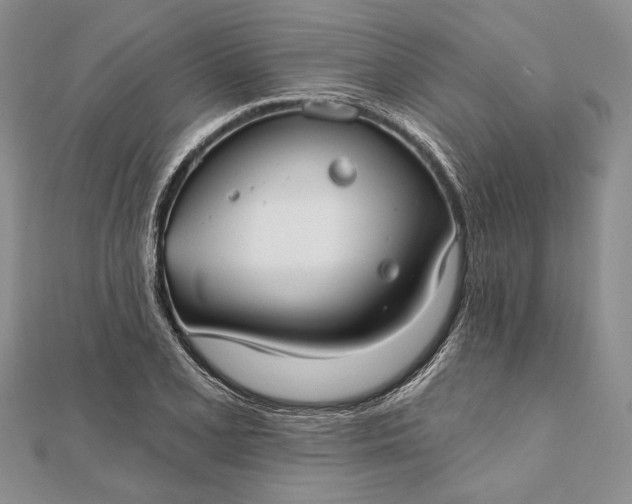 X0000111911077200908101156