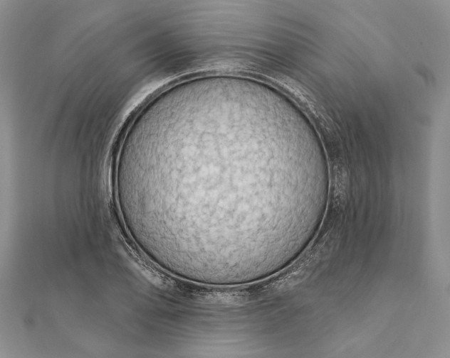 X0000111911078200908101156