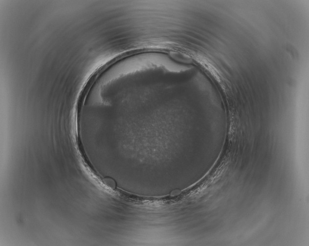 X0000111911080200908101156