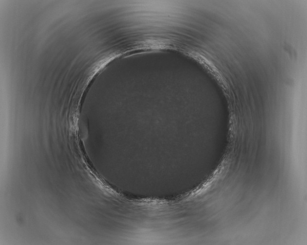 X0000111911081200908101156