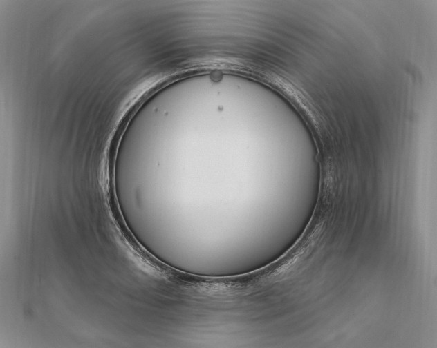 X0000111911082200908101155