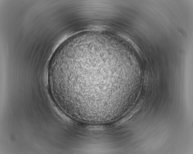 X0000111911083200908101155