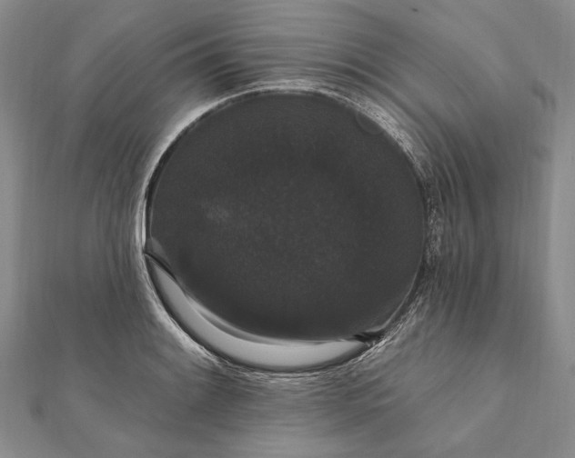 X0000111911084200908101155