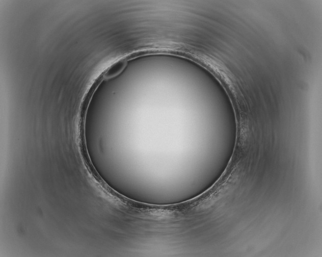 X0000111911085200908101155