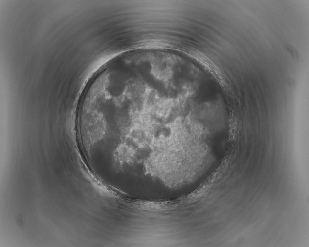 X0000111911086200908101155