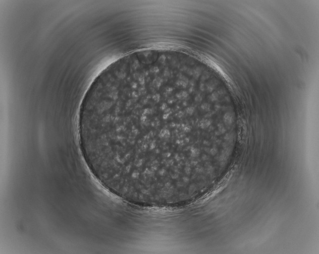 X0000111911087200908101155