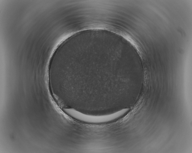 X0000111911088200908101155